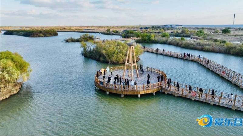 快速反击过 快速反击过