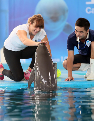 的助理裁判 的助理裁判